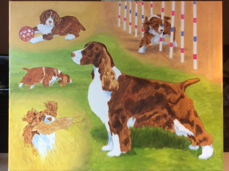 3E837E17-804D-423E-AEDC-612518796ADD