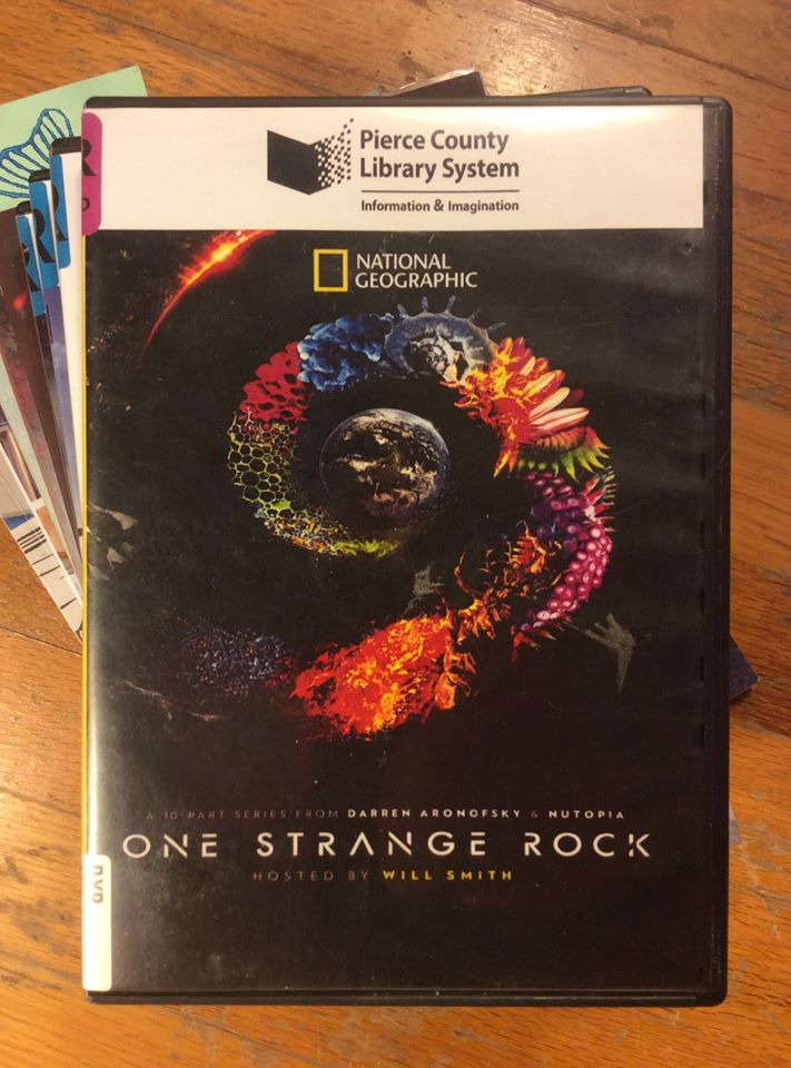 0CA09C8E-BE87-49AB-9454-77C29B809821