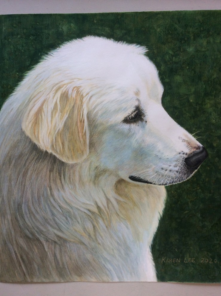 A8DB5311-0871-49C1-9BB6-CFCE4F93646C